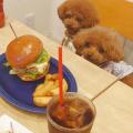 Craft Burger & Grill JIRO、地元・台東区ゆかりの「 Craft Burger & Grill JIRO、地元・台東区ゆかりの「