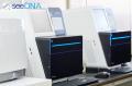 法律事務所からの冤罪救済DNA再鑑定依頼を1件あたり上