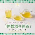 “メロン界の王様”イバラキングを贅沢に使用 「イバラ