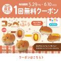「キャラis」発のキャラクター「コッペぶぅ」の限定プ 「キャラis」発のキャラクター「コッペぶぅ」の限定プ