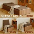 【テレビで話題の“紙家具”】ベッド・収納・ペット家具 【テレビで話題の“紙家具”】ベッド・収納・ペット家具