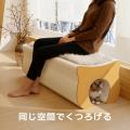 【テレビで話題の“紙家具”】ベッド・収納・ペット家具 【テレビで話題の“紙家具”】ベッド・収納・ペット家具