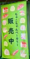 【埼玉県狭山市】埼玉県立狭山特別支援学校狭山清陵分