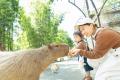 「キリンと朝食」が再開！動物園×グランピング施utf-8