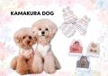 6/1 横浜開港祭にて「DOG FASHION SHOW」開催決定！参