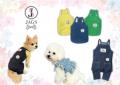 6/1 横浜開港祭にて「DOG FASHION SHOW」開催決定！参