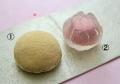 進化系から、正統派のあんこーる品まで。底知れぬあん