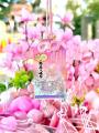 “5月31日で頒布終了”SNSで人気の「翼竜お守り spring 