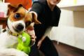 「じっとできない子大歓迎!」犬も飼い主も“無理をし 「じっとできない子大歓迎!」犬も飼い主も“無理をし