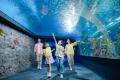 【DMMかりゆし水族館】沖縄県内の学童保育施設を対象 【DMMかりゆし水族館】沖縄県内の学童保育施設を対象