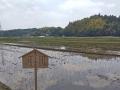 【玉川高島屋S.C.】6月のSDGs月間に向けた取り組utf-8 【玉川高島屋S.C.】6月のSDGs月間に向けた取り組utf-8