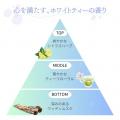 【もう迷わない、これでいい。】“オイルで洗う、美容
