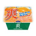夏に無性に食べたくなる！あの、シャリシャリ食感を追