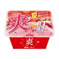 夏に無性に食べたくなる！あの、シャリシャリ食感を追