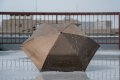 昨年1ヶ月で3,000本完売。WAQの晴雨兼用日傘「Field U 昨年1ヶ月で3,000本完売。WAQの晴雨兼用日傘「Field U