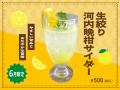 【6月季節限定カレー】Spice and Vegetable夢民から、 【6月季節限定カレー】Spice and Vegetable夢民から、