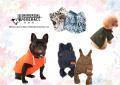 6/1 横浜開港祭にて「DOG FASHION SHOW」開催決定!参 6/1 横浜開港祭にて「DOG FASHION SHOW」開催決定!参