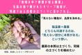岡山・倉敷の桃農家3代目が挑む。“地域循環型農業”で 岡山・倉敷の桃農家3代目が挑む。“地域循環型農業”で