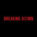 【BreakingDown20 ゴールドスポンサー2大会連続就任】 【BreakingDown20 ゴールドスポンサー2大会連続就任】