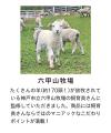 あの“羊の毛刈り体験”ぬいぐるみに「サフォーク種」が あの“羊の毛刈り体験”ぬいぐるみに「サフォーク種」が