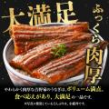 吉野家公式通販ショップにて『うなぎ蒲焼き』が再登場