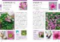 【シリーズ累計40万部突破】『新版　色で見わけ五感で