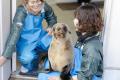 【京都水族館】オットセイ「ちのわ」1歳の誕生日utf-8