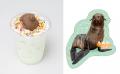 【京都水族館】オットセイ「ちのわ」1歳の誕生日utf-8