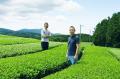 “観光以上・移住未満”の関係人口創出へ。日比谷花壇グ