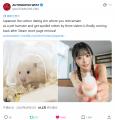 実写恋愛シミュレーション『ハムコイ-ハムスターに転 実写恋愛シミュレーション『ハムコイ-ハムスターに転