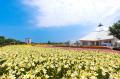 坂井市農業PR動画を5月28日より公開【福井県坂井市】