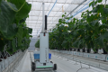 AGRIST、きゅうり農家の下葉かき・摘果作業時間を最大