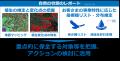 自然資本モニタリングソリューションの提供開始につい