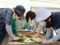 1200年の歴史を誇る兵庫県内随一の茶処でお茶を楽しむ