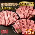 【5/29(金)限定】初夏の焼肉やBBQにも！宮崎牛や人気