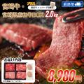【5/29(金)限定】初夏の焼肉やBBQにも！宮崎牛や人気