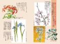 【累計140万部超】四肢の自由を失い絶望の淵にいた青