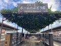 【日本でここだけ！「ぶどう」が育つ塩尻駅！】utf-8