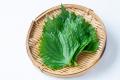 今年もこの季節がやってきた！牛カツ専門店が本気で向