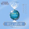 夏の“推しリンドール”に一票を『LINDOR VOTE 2026／リ