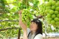 晴れの国おかやまを照らしたい！岡山照らし隊PR事務局