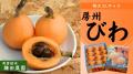 【千葉を応援するC-VALUEクラウドファンディング】202