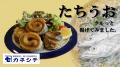 【千葉を応援するC-VALUEクラウドファンディング】202