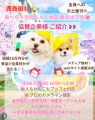 Dog Hug Lifeが「鼻ぺちゃ学園しゃくれ部 春のオフ会