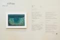 ヘラルボニーが主催する展覧会「HERALBONY Art Prize 