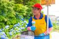 秋田の夏の風物詩「ババヘラ」　ユニフォームを着て売