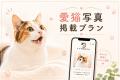 【6月1日開始】「猫と人が、安心して暮らせる住まいを
