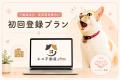 【6月1日開始】「猫と人が、安心して暮らせる住まいを
