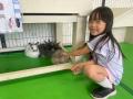 雨の日は入園無料でりんどう湖を楽しもう!6月から「 雨の日は入園無料でりんどう湖を楽しもう!6月から「