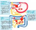 【若本規夫さん×強力わかもと】ついに実現!強力わか 【若本規夫さん×強力わかもと】ついに実現!強力わか